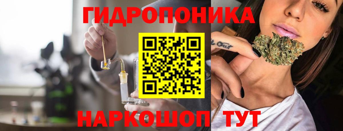 Конопля сатива  Вход с VPN  Канабис OG Kush  Каннабис MAZAR  Михайловск  Канабис конопля 